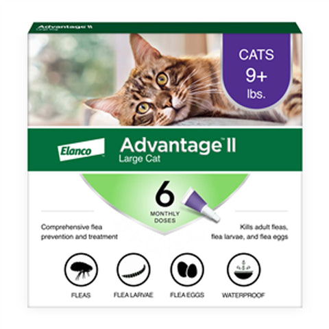 Advantage II for Cats (> 5 lbs)