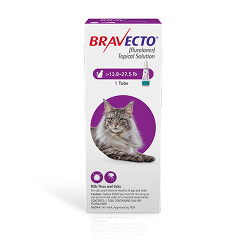 Bravecto Topical Solution for Cats