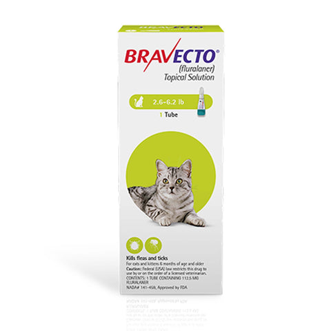 Bravecto Topical Solution for Cats