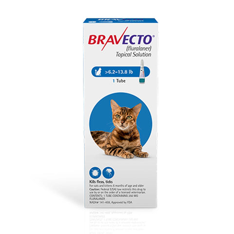 Bravecto Topical Solution for Cats