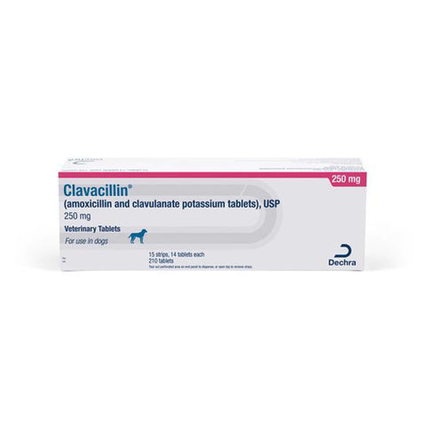 Clavacillin (amoxicillin/clavulanate) Tablets