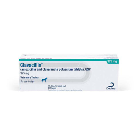 Clavacillin (amoxicillin/clavulanate) Tablets