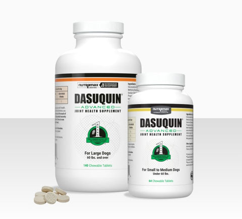 Dasuquin Advanced with MSM Chewable Tablets
