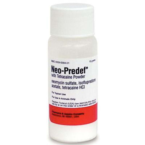 Neo-Predef with Tetracaine Topical Powder