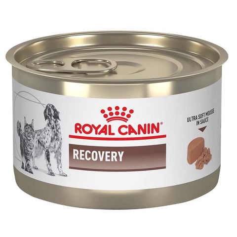 Royal Canin Recovery Ultra Soft MIS Can
