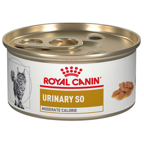 Royal Canin Urinary SO Moderate Calorie Morsels in Gravy Can (Cat)